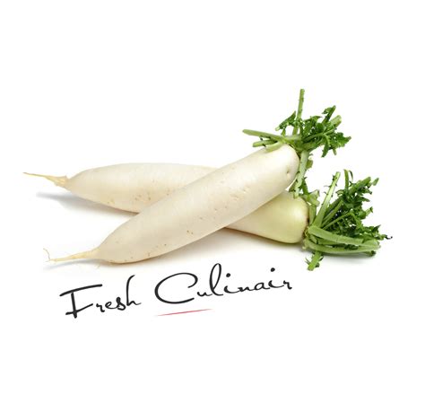 Daikon Radish Fresh Culinair