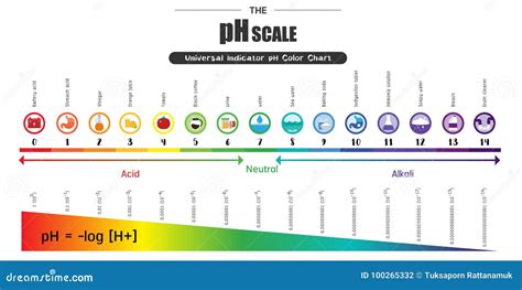 Das Farbdiagrammdiagramm Ph Skala Universalindikatorph Vektor Abbildung