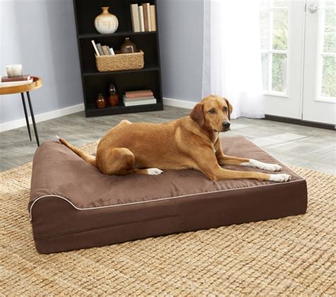 Best Orthopedic Dog Beds Top Picks For Pups Sleepy Time