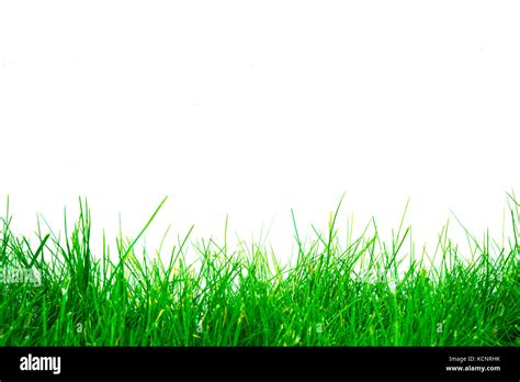 Details 100 Green Grass Background Hd Images Abzlocalmx