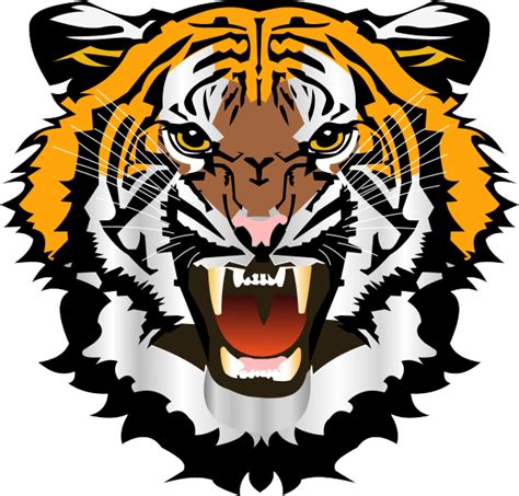 Tiger Face Png Transparent