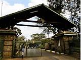 Nairobi National Park Safari Tour Pictures