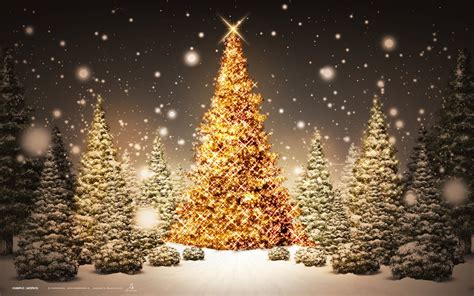 Cool Christmas Tree Wallpaper Hd 9792 Wallpaper High