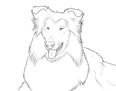 Lassie Coloring Pages Coloring Pages