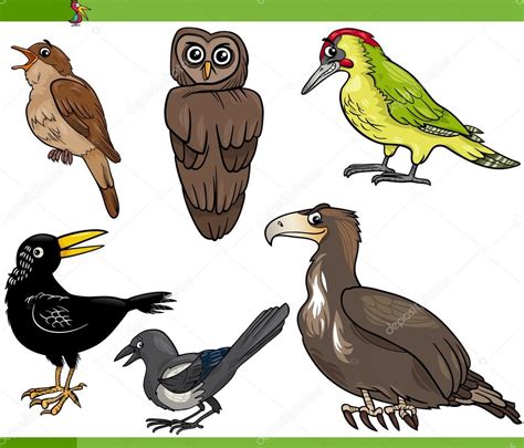Ilustración Conjunto De Dibujos Animados Aves 2023