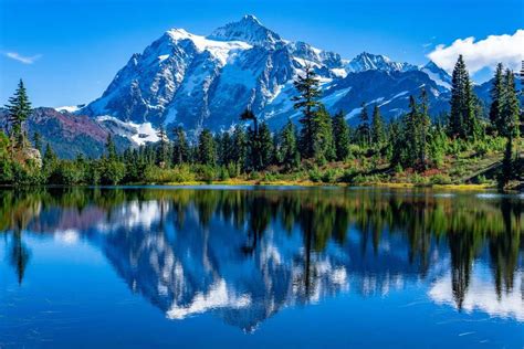 Picture Lake Reflection Of Mount Shuksan Wall Mural In 2022 Wall