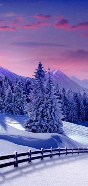 15 Winter Wallpaper Phone Venera Wallpaper