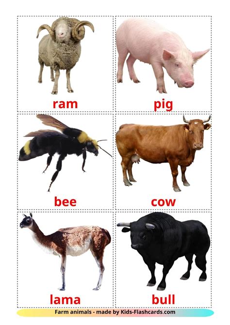 Free Farm Animals Flashcards For Kids On English Language With Real