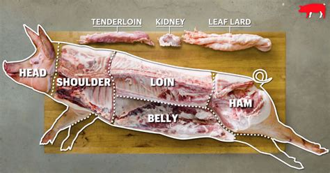 How To Butcher An Entire Pig Every Cut Of Pork Explained Twistedsifter