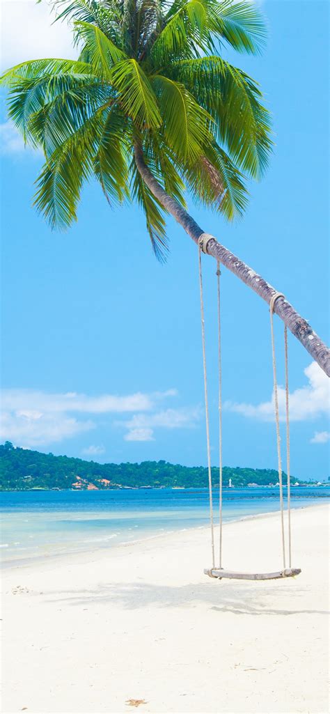 Wallpaper Palm Trees Beach Sea Swing Island Tropical 3840x2160 Uhd