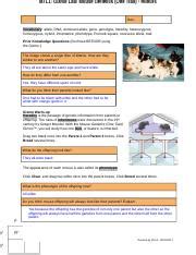 In a eukaryotic cell, where does transcription occur? Mouse Genetics (One Trait) Gizmo - ExploreLearning.pdf - ASSESSMENT QUESTIONS Print Page ...