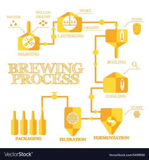 Brewery Process Infographics Royalty Free Vector Image