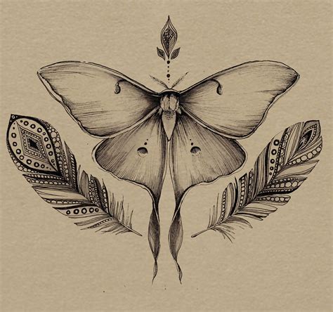 Luna Moth Tattoo Moth Tattoo Design Tattoo Designs Tattoo Ideas