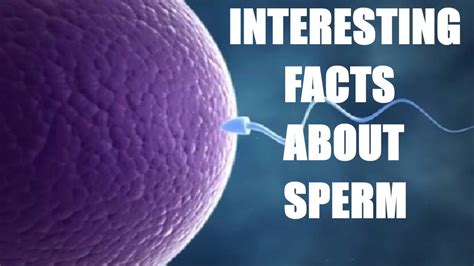 sperm facts that you probably didn t know 10 interesting facts about sperm cells youtube