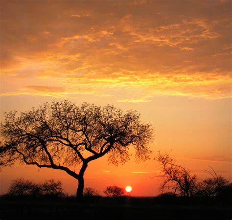 Sunrise In South Africa Satara Kruger National Park Sou Flickr