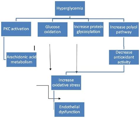 Pathophysiology Of Diabetes Mellitus