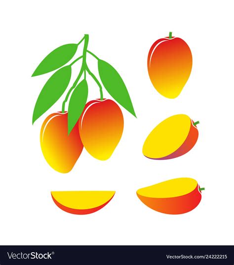 Mango Free Images At Clker Com Vector Clip Art Online