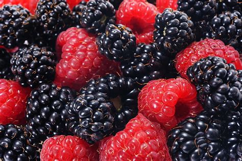 Food Berry Blackberry Fruit Raspberry Hd Wallpaper Peakpx