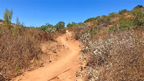 Mission Trails Regional Park Mountain Biking San Diego California