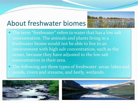 Ppt Freshwater Biomes Powerpoint Presentation Free Download Id2655554