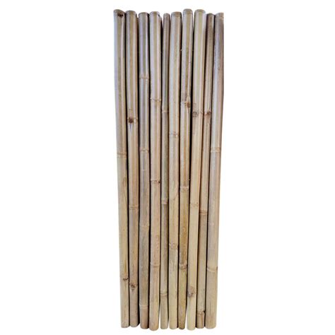 Backyard X Scapes 4 Ft H X 8 Ft W X 1 In D Natural Rolled Bamboo