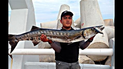 Pesca De Barracuda Enorme En Escolleras De Coatzacoalcos Youtube