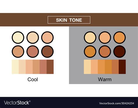 Skin Tone Color Palette Set Design Royalty Free Vector Image