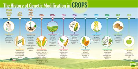 Improving Quality And Productivity Of Crops Using Genetic Engineering