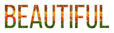 Word Beautiful Written With Leaves White Isolated Background Banner