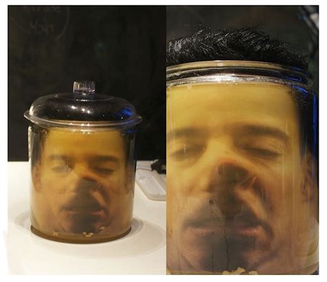 Head In A Jar Prank Head In A Jar Pranks Halloween Party Decor