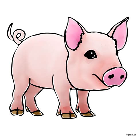 Pig Cartoon Drawing At Getdrawings Free Download