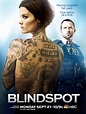 Blindspot Temporada 1 - SensaCine.com