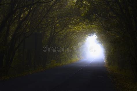 A Tunnel In Which In The End You See The Sunlight Stock Image Image