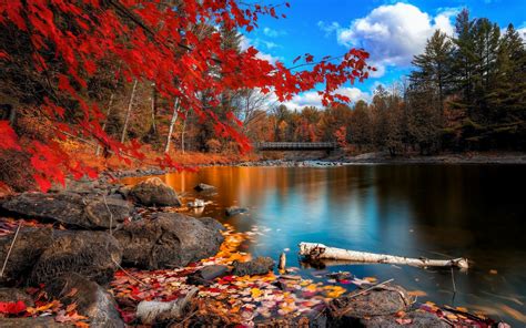 Wallpaper Landscape Forest Fall Anime Lake Water