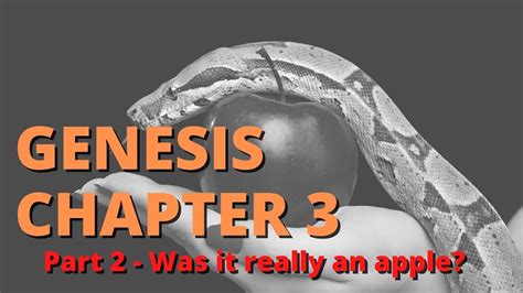 Genesis Chapter 3 Bible Study The Origin Of Sin Part 2 Genesis 3
