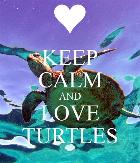 Keep Calm And Love Turtles Poster Keep Calm And Carry On