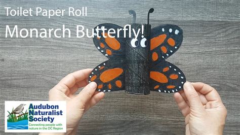 Craft Toilet Paper Roll Monarch Butterfly Youtube