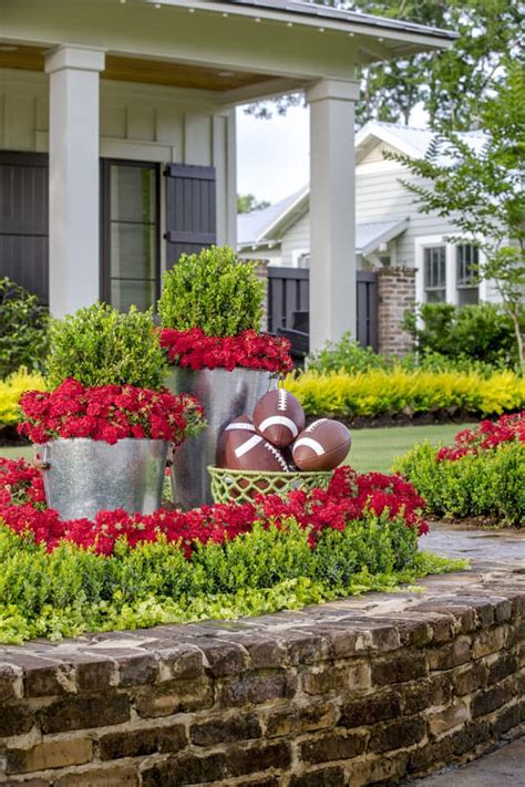 Baby Gem™ Boxwood Southern Living Plants