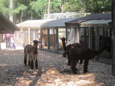 The Places We Go Winslow Farm Animal Sanctuary