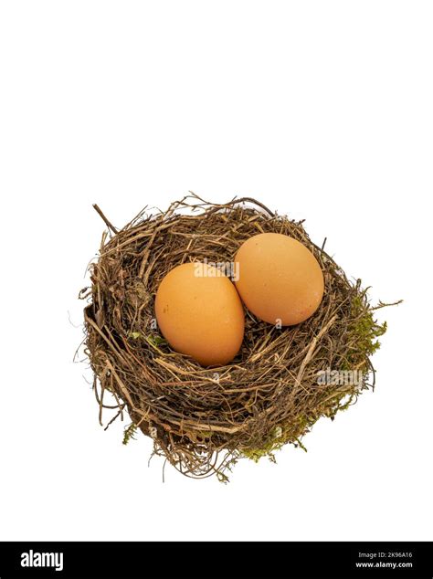 Birds Nest With Nesting Chicken Eggs Stock Photo Alamy