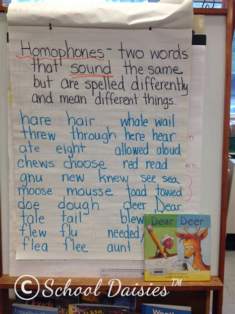 School Daisies Spend A Day In Second Grade Pair Of Pears Homophones