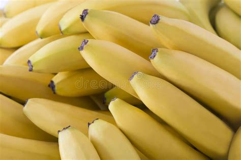 Beautiful Fresh Bananas Stock Image Image Of Natural 84535915