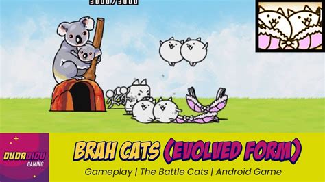 Brah Cats Evolved Form Gameplay The Battle Cats Android Game