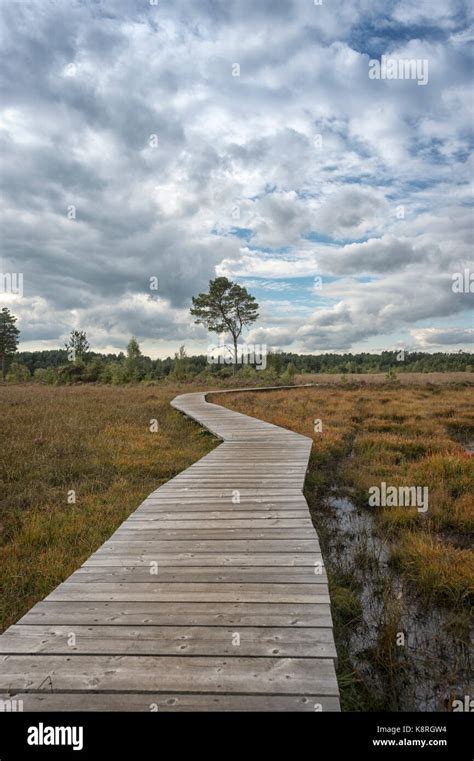 Wooden Boardwalk Across Marsh Land With Moody Sky Stock Photo Alamy
