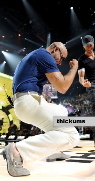 Pitbull Bulge And Booty Tumbex