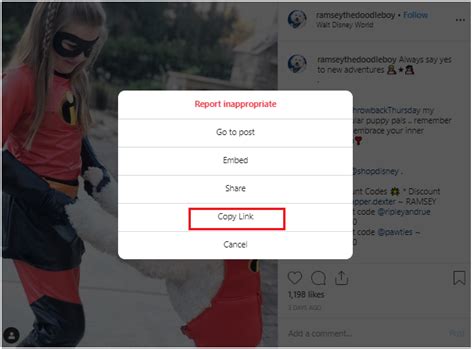 How To Repost On Instagram The Complete Guide To Instagram Reposting