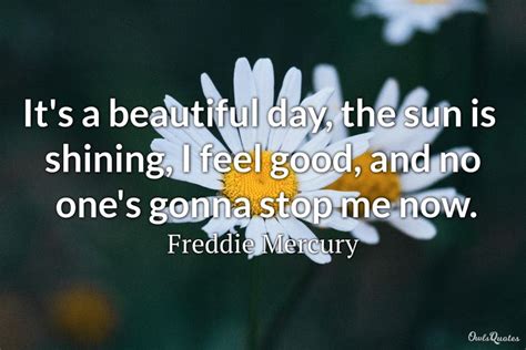 30 Beautiful Day Quotes