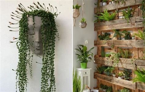 Si quieres colocar una planta, elige plantas colgantes. Decorar un balcón: 11 Consejos en decoración de balcones | Super Guía