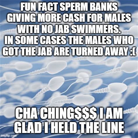 Sperm Banks Imgflip