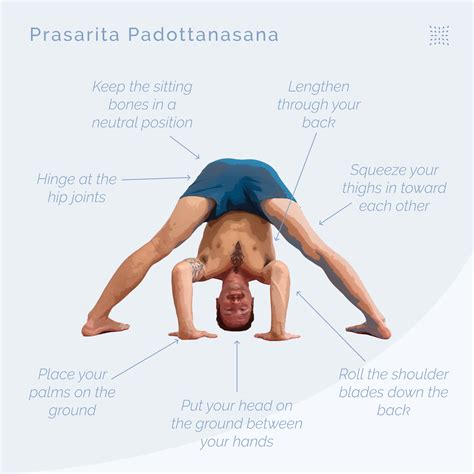 how to do prasarita padottanasana wide legged forward bend omstars